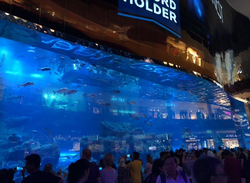 Dubai Aquarium