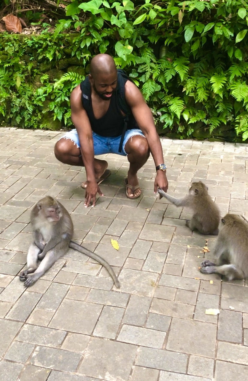 monkey forest