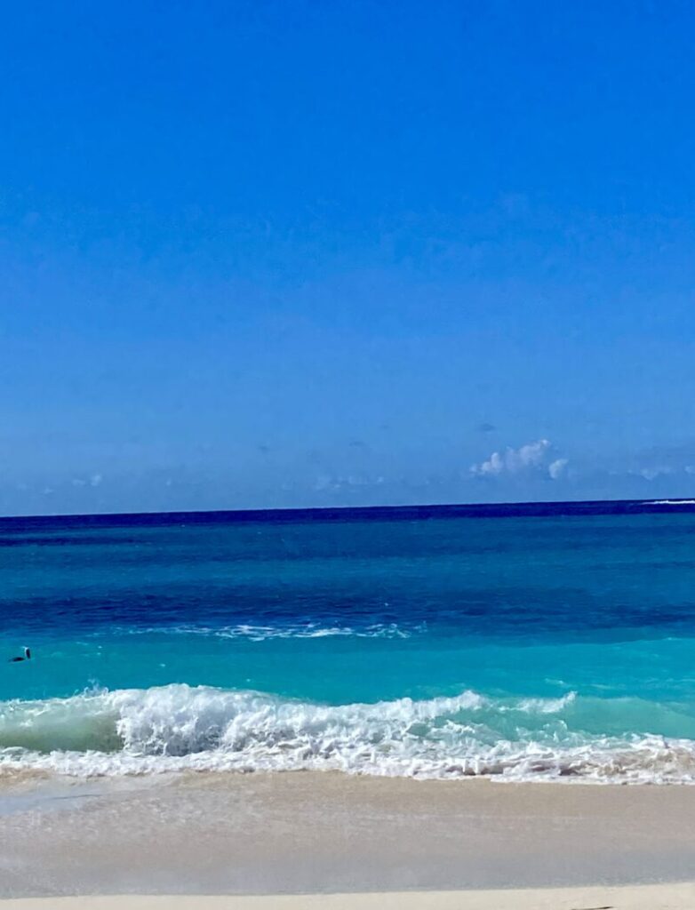 A beach scene featuring clear blue sky, turquoise ocean waves, and sandy shore. A person is swimming in the water.